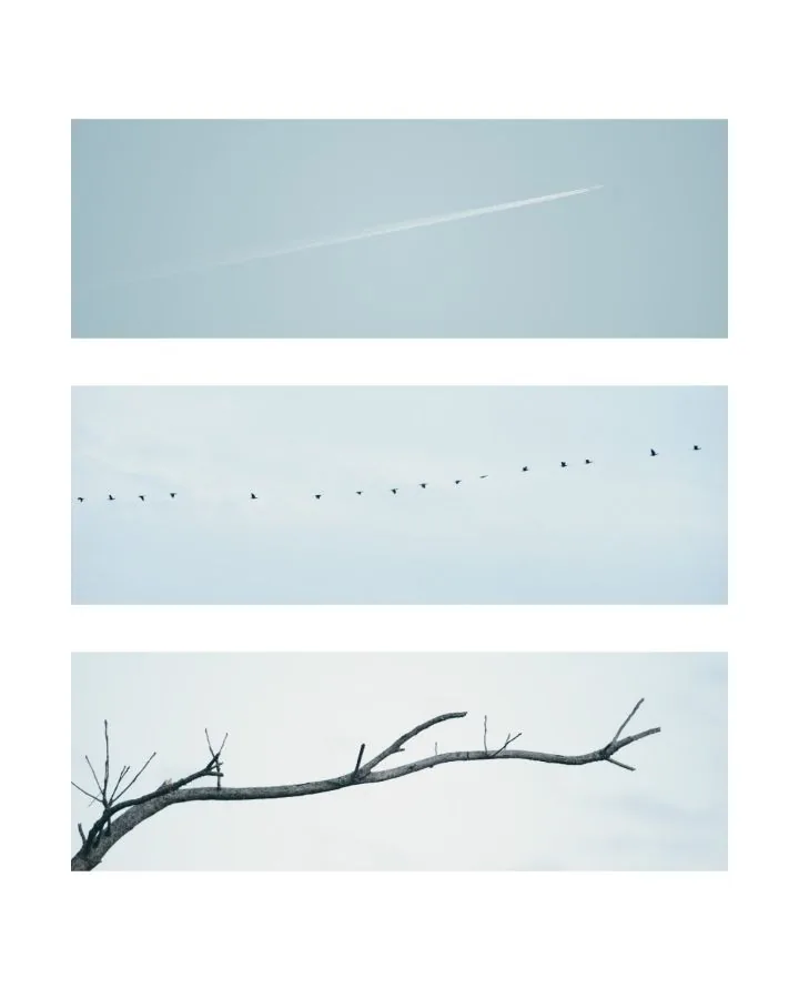 Minimalist Three-Panel Sky Grid template preview