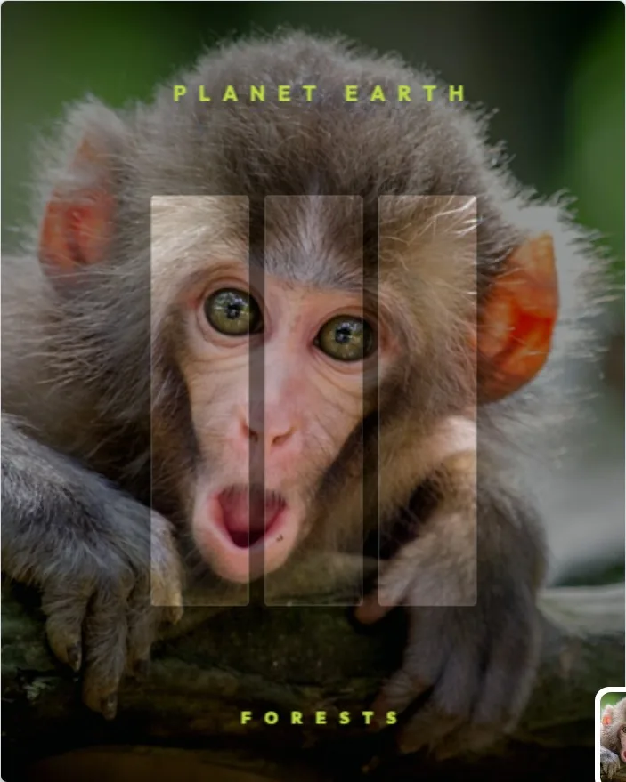 Planet Earth - Forests template preview