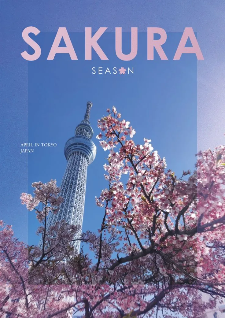 Sakura Season template preview